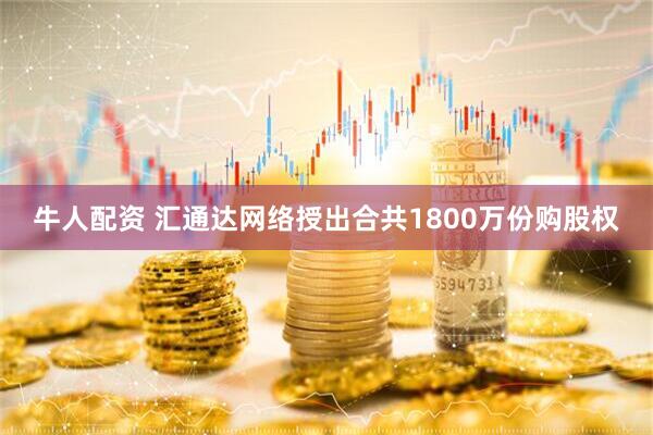 牛人配资 汇通达网络授出合共1800万份购股权