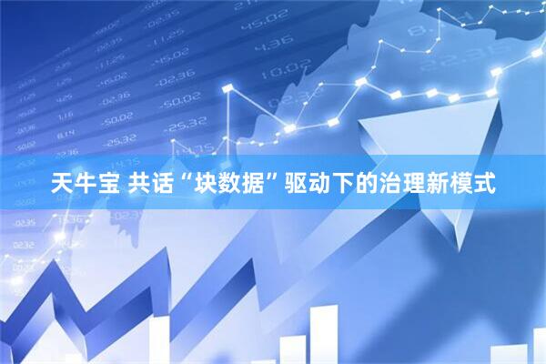 天牛宝 共话“块数据”驱动下的治理新模式